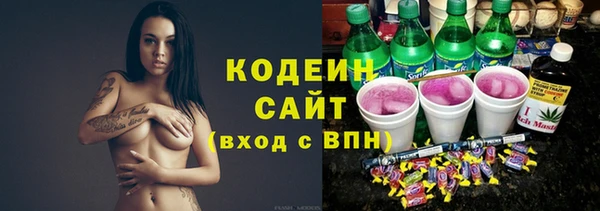 дживик Ельня