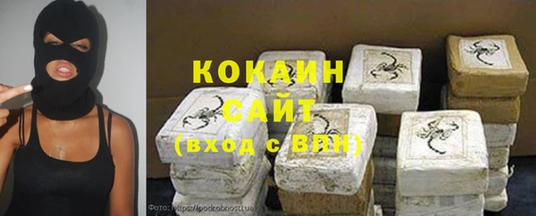 дживик Ельня