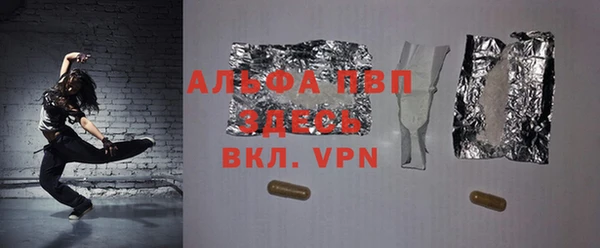 дживик Ельня