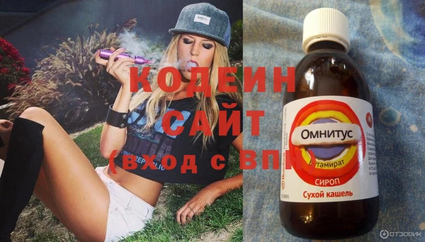 дживик Ельня