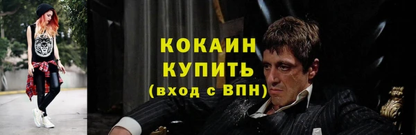 дживик Ельня
