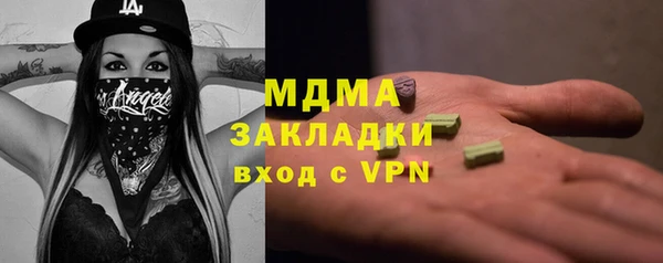 дживик Ельня