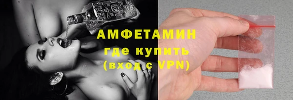 дживик Ельня