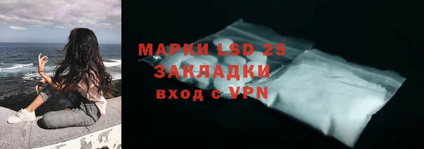 дживик Ельня