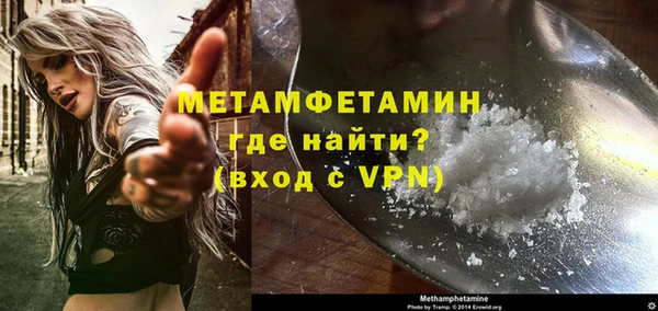 дживик Ельня