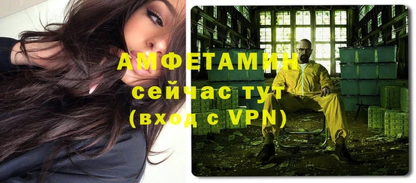 дживик Ельня