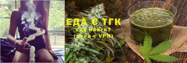 дживик Ельня