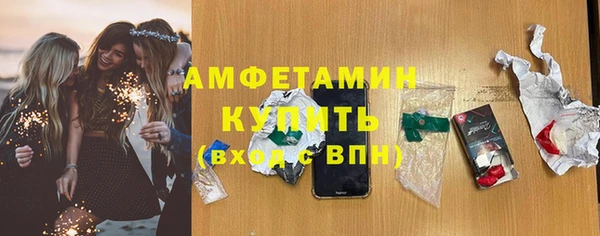 дживик Ельня