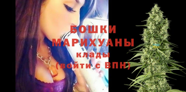 PSILOCYBIN Елизово
