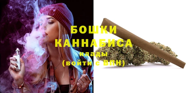 дживик Ельня