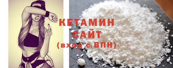 дживик Ельня