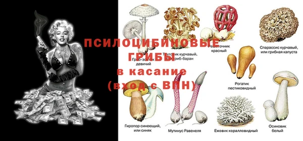 дживик Ельня